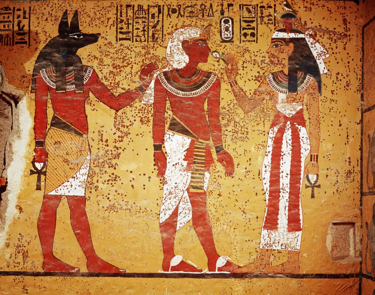 أكواب القهوة تدخل المتحف المصري موسوعة غينيس