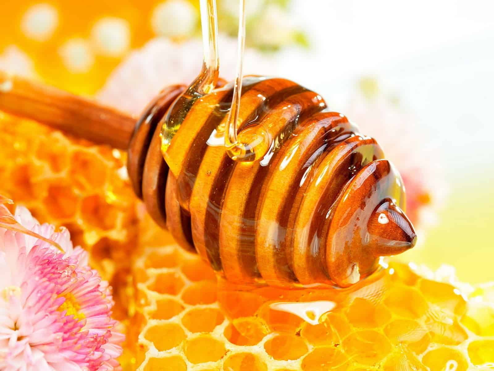 تعرف على فوائد عسل النحل.. البديل الآمن للسكر