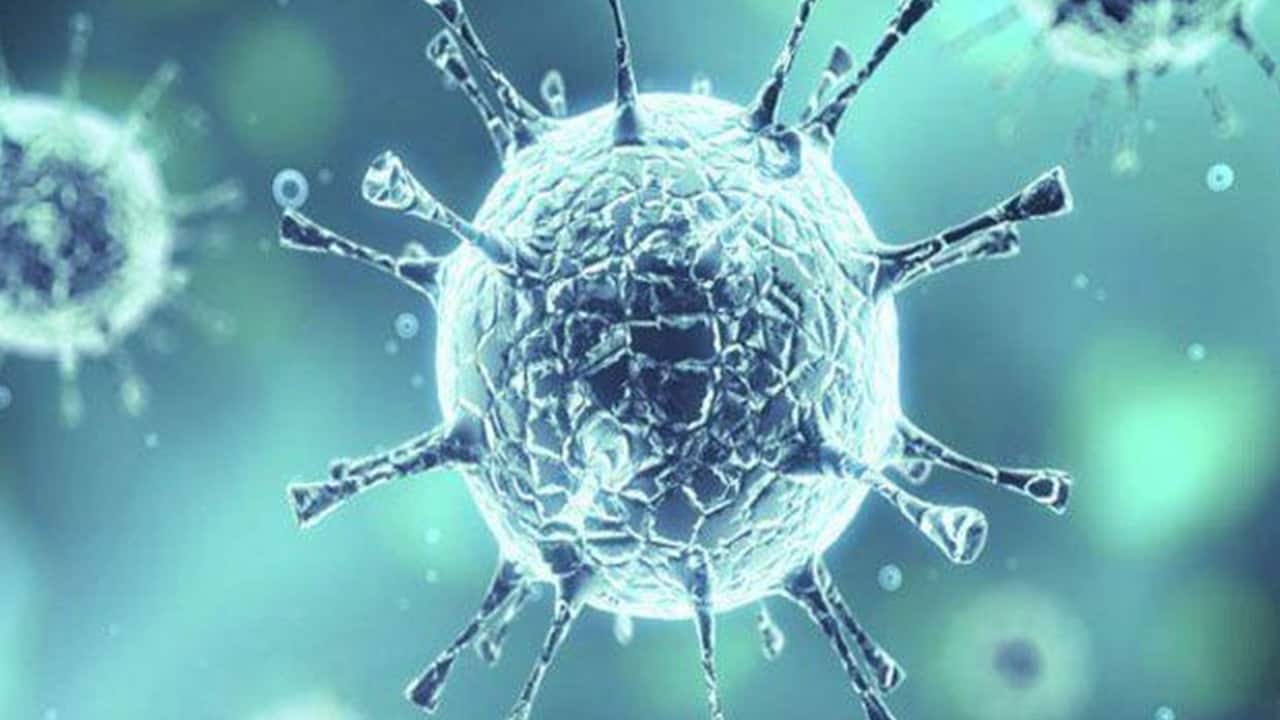 الصحة العالمية تصحح مفاهيم خاطئة عن فيروس كورونا