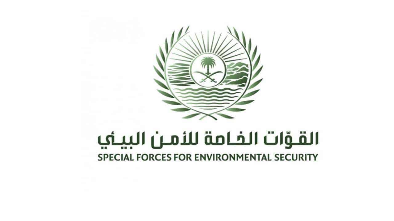 متحدث القوات الخاصة للأمن البيئي: تحديد هوية الأشخاص الذين قاموا بإيذاء سلاحف على أحد شواطئ محافظة أملج بتبوك